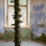 “Grow-ing”, installation at Kuldiga Artist’s Residence gallery, 2018.